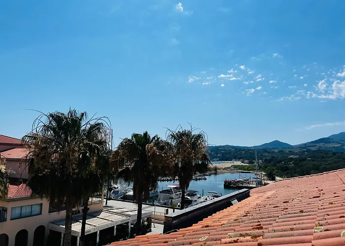 T2 à Avec Terrasse, Barbecue, Parking Et Climatisation - Fr-1-309-393 Appartamento Argelès-sur-Mer