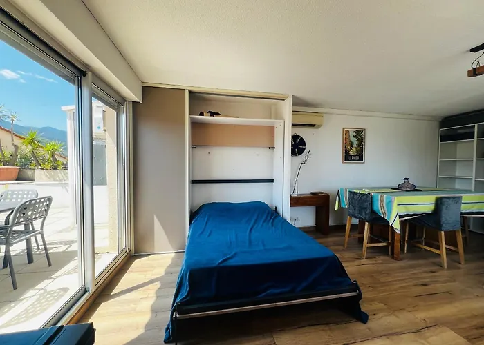 T2 à Avec Terrasse, Barbecue, Parking Et Climatisation - Fr-1-309-393